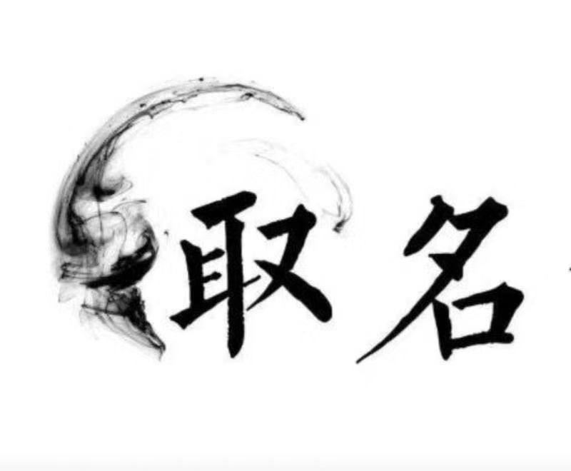  金口河宝宝取名 大师一对一人工起名